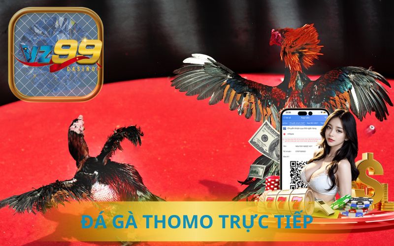 ĐÁ GÀ THOMO TRỰC TIẾP TẠI VZ99